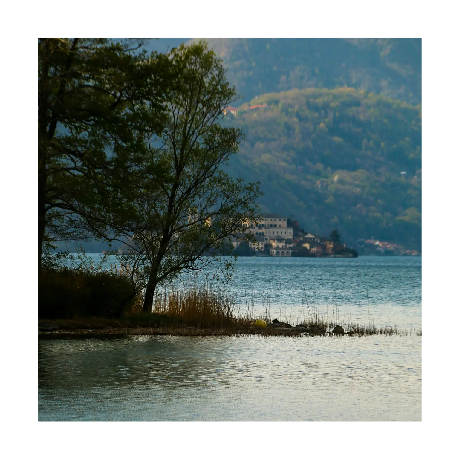 Immagine  1f8774e5-09d1-4ece-8de8-3f8c5f915a15