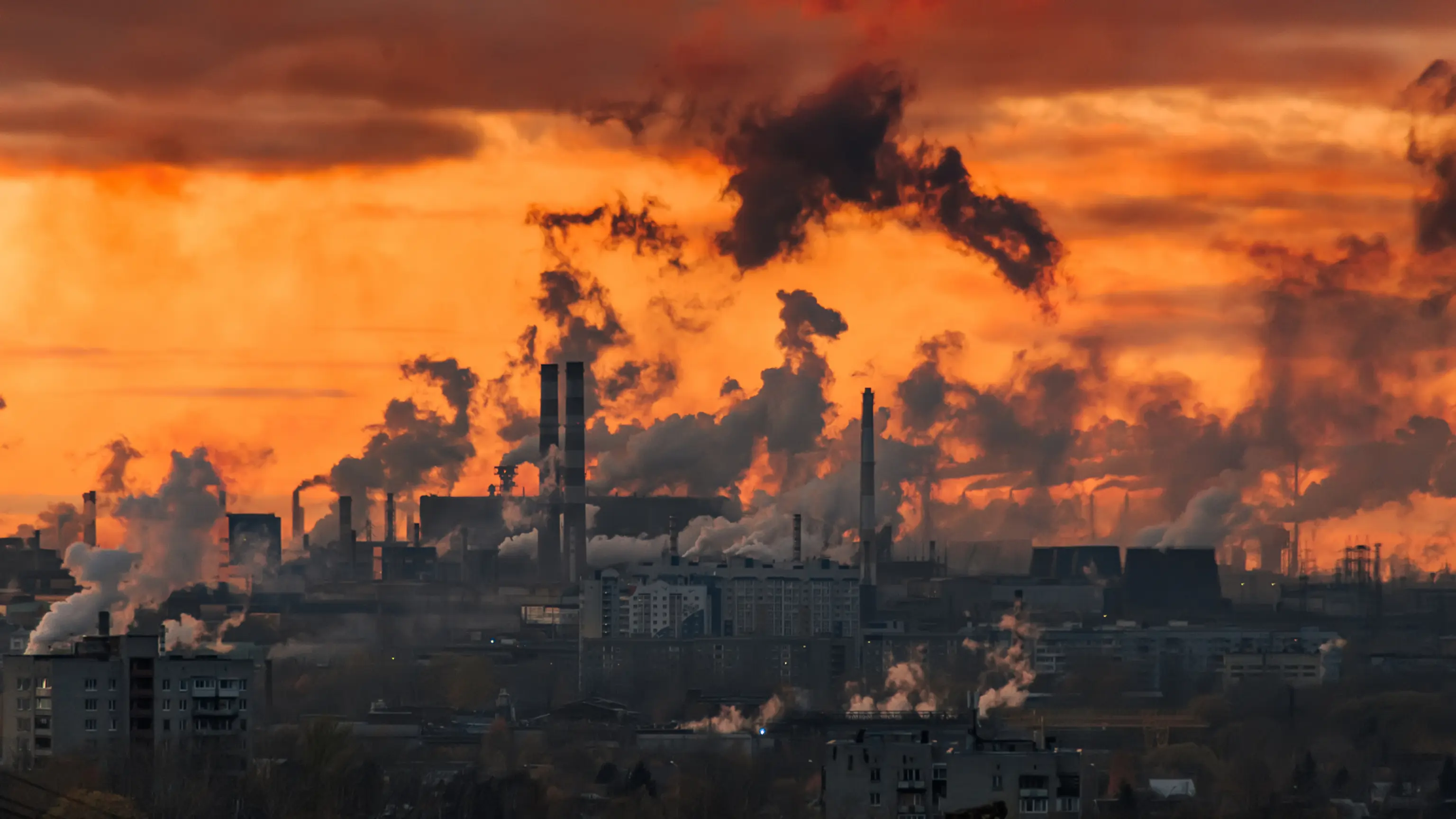 Immagine  7413e414-5a79-4860-9e9e-06f99323e057